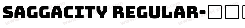 Saggacity Regular字体转换